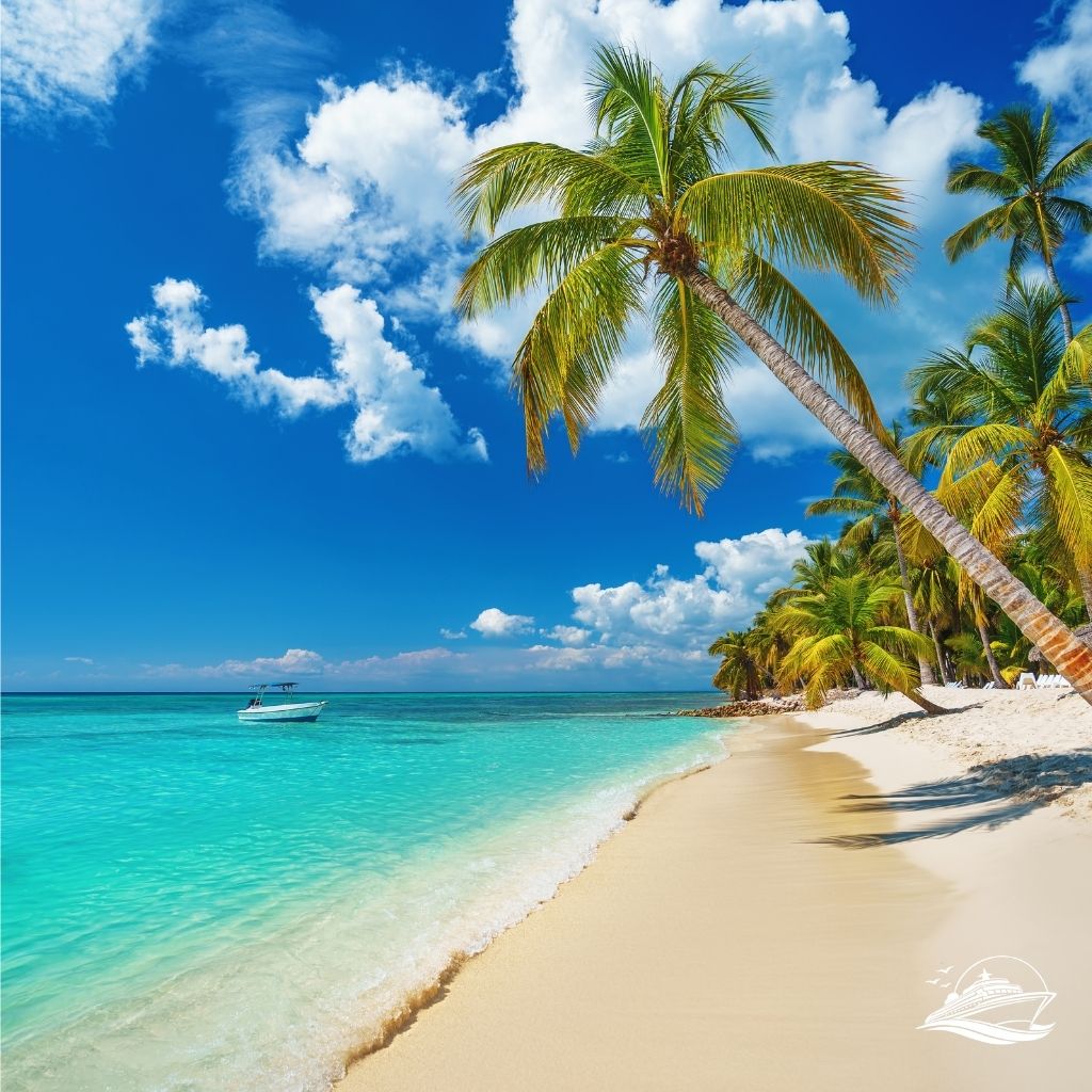Karibik Strand mit Palmen
