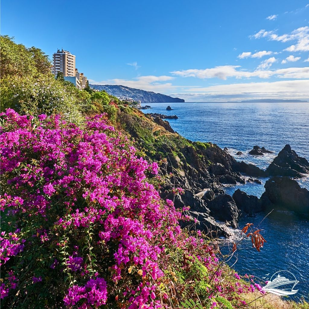 Madeira Blumenpracht