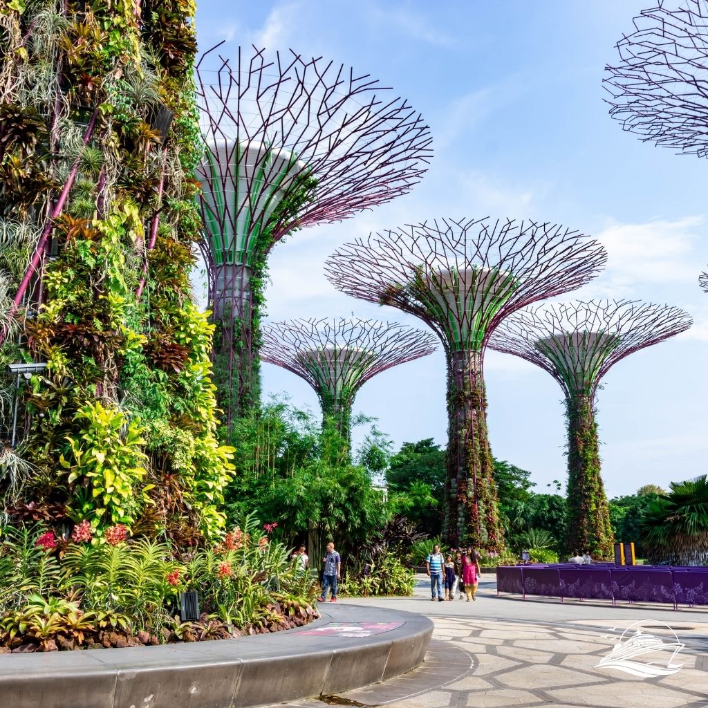 Supertree Gardens by the Bay in Singapore